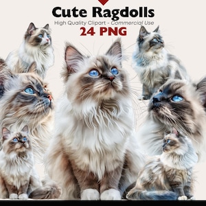 Ragdoll Clipart Bundle Cute Cat PNG Transparent Background Watercolor Feline Animal Digital Download Paper Crafts Scrapbooking Blue Eyes Cat