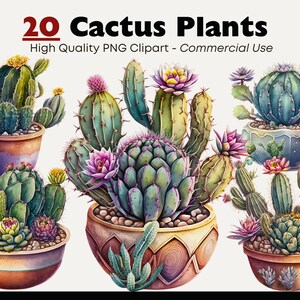 Clipart cactus, cactus aquarelle, clipart succulente, clipart numérique PNG succès, scrapbooking, cactus PNG, plante d'intérieur aquarelle