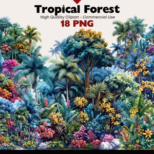 Bundle de cliparts forêt tropicale jungle exotique aquarelle téléchargement numérique forêt tropicale graphiques palmiers Bundle Png artisanat en papier Scrapbooking