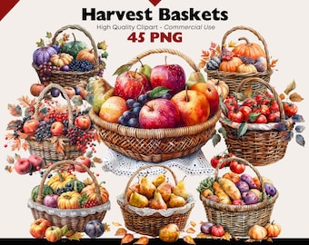 Clipart di cesto rustico per il raccolto, PNG di frutta e verdura autunnali, illustrazione di cesto del mercato autunnale, scrapbooking artistico di prodotti agricoli del Ringraziamento