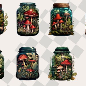May include: Six glass jars filled with various types of mushrooms, leaves, and other botanical elements. The jars are all different shapes and sizes, and the mushrooms are a variety of colors, including red, white, and brown.