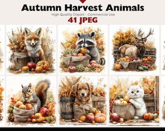May include: Watercolor illustrations of autumn animals with harvest elements. The images include a fox, raccoon, deer, bear, owl, squirrel, dog, cat, and mouse, each surrounded by pumpkins, apples, and wheat. The text "Autumn Harvest Animals" and "41 JPEG" are visible.