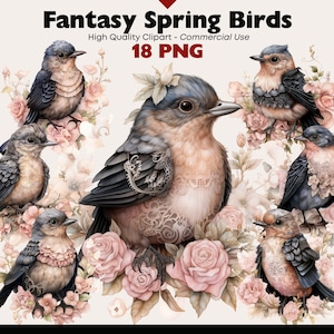 Fantasy Vogel Clipart Bundle, Frühling Vogel PNG, Aquarell wunderliche Rotkehlchen Vögel Illustrationen, PNG Spatz Digital Download Grafiken