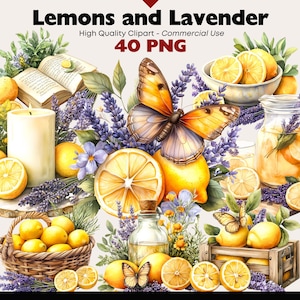 Lemons and Lavender Clipart PNG, Lemon Botanical Illustration, Lavender Flowers, Cottagecore Farmhouse Art, Commercial Use