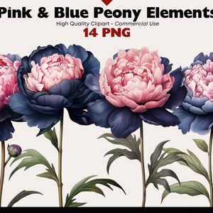 Pink and Blue Peony Clipart Bundle, Watercolor Peonies Elements Graphics Set, Floral Cutouts PNG, Long Stem Peony Scrapbook Flower Images