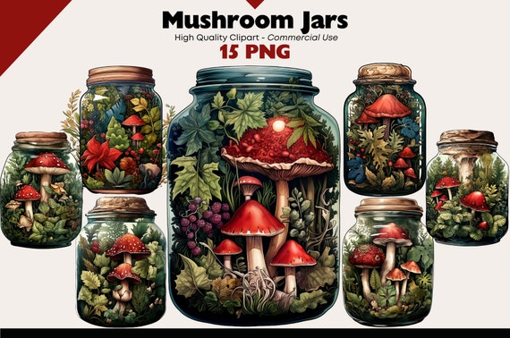 Fantasy Mushroom Clipart Bundle Fantasy Fly Agaric Watercolor Fairy Tale Mushroom PNG Digital Download Fungi Png Paper Crafts Scrapbooking