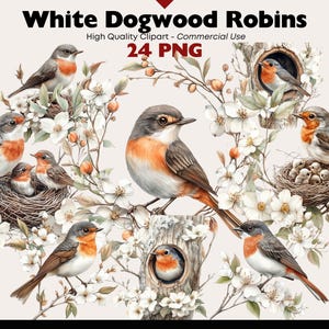White Dogwood Robin Clipart Bundle Watercolor Whimsical Bird PNG Spring Wildlife Graphics Digital Download Forest Watercolor Paper Crafts