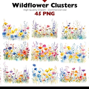 Può includere: Grappoli di fiori selvatici ad acquerello in vari colori, tra cui rosa, giallo, blu e viola. L'immagine include il testo "Wildflower Clusters" e "45 PNG". Clipart di alta qualità per uso commerciale.