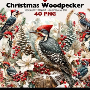 May include: A digital illustration of a Christmas scene featuring a group of woodpeckers with red, white, and blue accents. The woodpeckers are perched on branches and surrounded by holly, pine cones, and poinsettias. The text "Christmas Woodpecker" is displayed at the top of the image.
