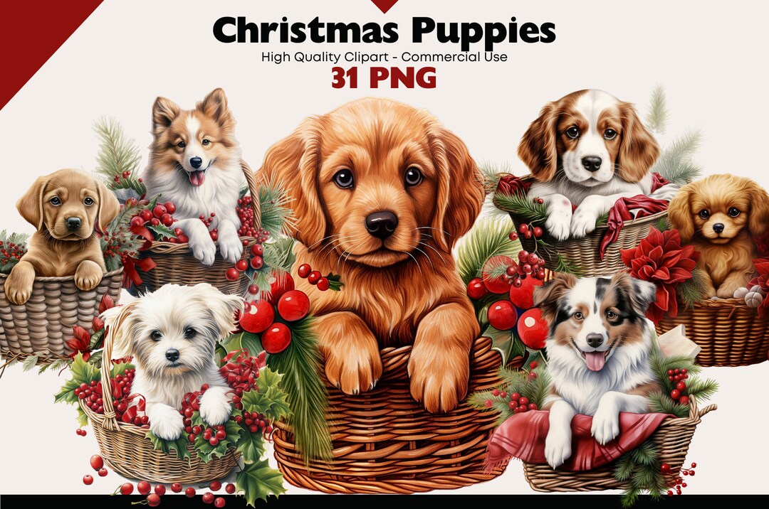 Christmas Puppy Clipart Bundle, Dog in Basket Watercolor, Cute Beagle ...