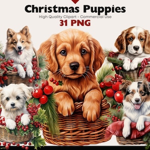 Weihnachten Welpen Clipart Bundle, Hund im Korb Aquarell, süße Beagle Grafiken, Labrador PNG, Collie digitale Aufkleber, Russel Terrier Bilder