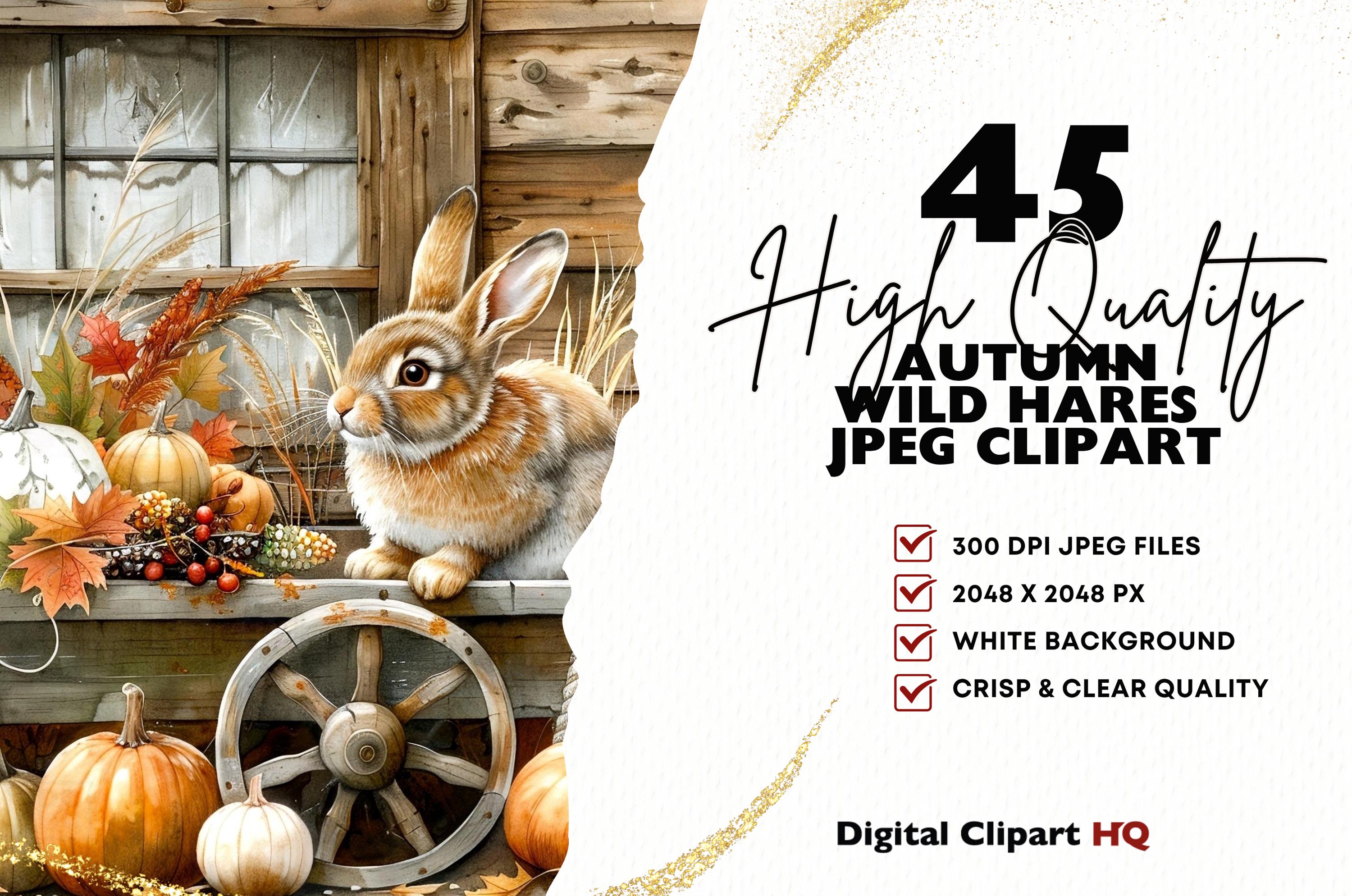 Autumn Woodland Rabbit Clipart Bundle Cozy Fall Harvest Jpgs for Fall ...