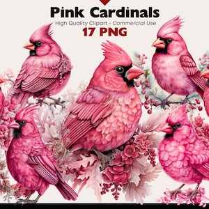 Christmas Cardinal Clipart Bundle, Winter Bird Watercolor, Pink Birds PNG, Birds on Snowy Branches Graphics, Pink Cardinal Digital Download