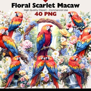 Könnte beinhalten: Aquarellillustration mit leuchtend roten Aras mit rotem, gelbem und blauem Gefieder, umgeben von einem Blumenarrangement aus Rosen und anderen Blüten. Der Text lautet "Floral Scarlet Macaw" und "40 PNG".