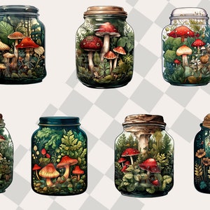 May include: Eight glass jars with cork lids, each containing a miniature forest scene with various types of mushrooms and greenery.