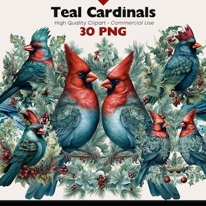 Christmas Cardinal Clipart Bundle, Winter Bird Watercolor, Teal Cardinal PNG, Two Birds PNG, Birds on Snowy Branches Graphics, Bird Download