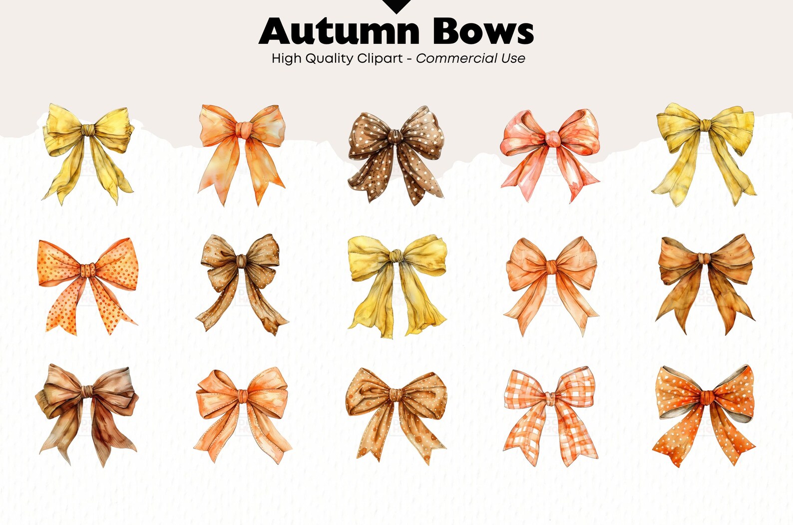 Autumn Bow Clipart Bundle | Fall Themed Bows | Digital Download PNG ...