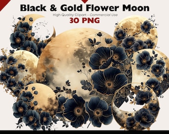 Zwarte en gouden maan clipartset, grillige maan kunst aan de muur, aquarel maan clipart bundel, hemelse nachtelijke hemel, magisch ongewenste dagboek png