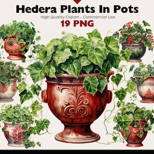 Ivy Plant Clipart, Watercolor Hedera Helix, House Plants PNG, European Ivy Digital Download Graphics, Decorative Potted Flowers Clip Art