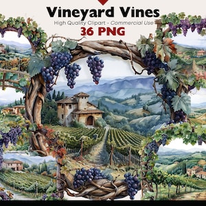 Vineyard Clipart Bundle, Grapes Watercolor Printable, Vineyard Landscape PNG, Wine Farm Harvest Clipart Digital Download, Paper Crafts