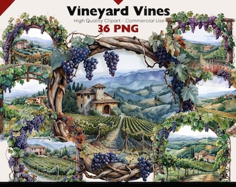 Vineyard Clipart Bundle, Grapes Watercolor Printable, Vineyard Landscape PNG, Wine Farm Harvest Clipart Digital Download, Paper Crafts