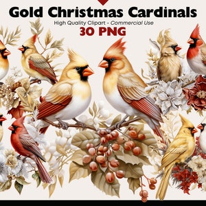 Christmas Cardinal Clipart Bundle, Winter Bird Watercolor, Two Birds PNG, Birds on Snowy Branches Graphics, Gold Cardinal Digital Download