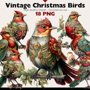 Vintage Christmas Birds PNG Clipart Bundle, Fantasy Bird Winter Illustrations, Cute Birds Digital Download PNG, Whimsical Christmas Birds
