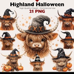 Bundle de cliparts Halloween vache Highland, vache mignonne chapeau de sorcière PNG, bébé vache écossais aquarelle graphiques, Images automne Highland, vache sorcière