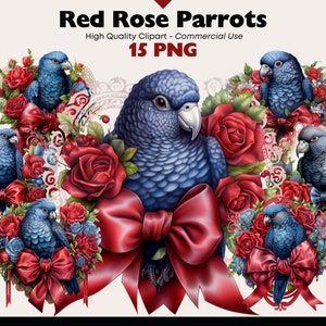 Pacote de clipart de papagaios azuis, PNG de pássaro em aquarela, gráficos de pássaros com rosas vermelhas, clipart de pássaro de dia dos namorados, artesanato de papel de papagaio fofo digital