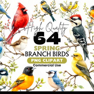 Puede incluir: Ilustración en acuarela de varios pájaros coloridos posados en ramas florecidas. La imagen incluye un cardenal rojo, pájaros azules y pinzones amarillos. El texto dice "High Quality 64 Spring Branch Birds PNG Clipart Commercial Use."
