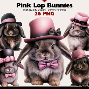 Rosa Häschen Clipart, Hängeohrkaninchen Aquarell, Bunnies Digitaler Download, Rosa Oktober PNG, Langohrkaninchen, Mini Lop, Niedlicher Zylinder Bild