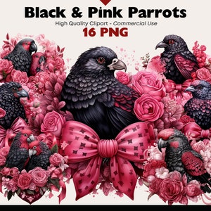Pacote de clipart de papagaios pretos e rosa, PNG de pássaro aquarela, gráficos de pássaros rosas rosa, clipart de pássaro de dia dos namorados, gráficos digitais fofos de papagaio