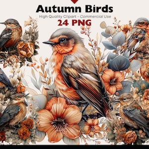 Pacchetto di clipart di uccelli floreali Acquerello autunno uccello grafica Download digitale fauna selvatica Png Clipart uccello carino artigianato di carta natura Scrapbook