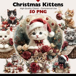 Entzückende Weihnachten Kätzchen Clipart Bundle Aquarell Süß Urlaub Katze PNG Winter Tier Grafiken Digital Download Papier Handwerk Scrapbooking