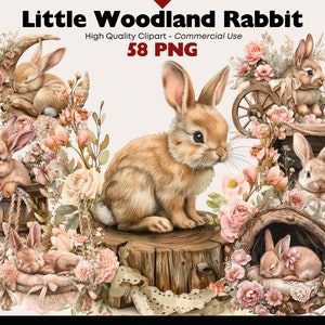 Waldkaninchen Clipart Bundle Rosa Hase Png Aquarell Wald Grafiken Digitaler Download Waldtier Druckbare Papiermodelle Png