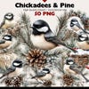 Cardinal Winter Clipart, Birch Tree Forest, JPG & PNG (digital Download ...