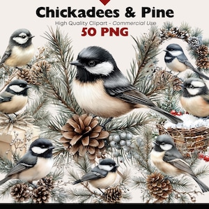Winter Chickadee on Pine Branch Clipart Bundle Watercolor Winter Pine PNG Holiday Bird Decorations Graphics Christmas Watercolor Elements