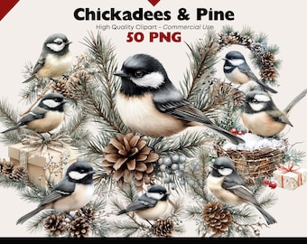 Winter Chickadee on Pine Branch Clipart Bundle Watercolor Winter Pine PNG Holiday Bird Decorations Graphics Christmas Watercolor Elements
