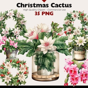 Paquete de imágenes prediseñadas de cactus navideños, cactus de acuarela, suculentas navideñas, imágenes digitales de cactus en frasco, cactus PNG, planta de interior, corona de cactus