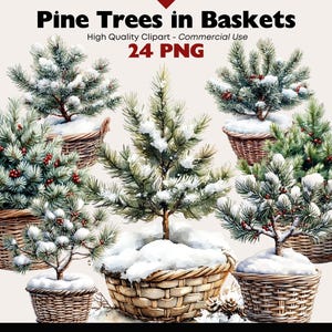 Boho Pine Tree in Basket Clipart Bundle Acquerello Pino invernale PNG Decorazioni per le feste Grafica Albero di Natale Download digitale Artigianato di carta