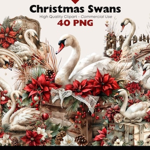Pacchetto Clipart di cigni natalizi / Grafica elegante di cigni per le feste / Download digitale PNG / Arte decorativa invernale / Illustrazioni ad acquerello festive
