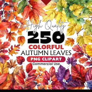 Herfstbladeren aquarel clipart bundel herfst aquarel esdoornblad png digitale download gevallen bladeren graphics papier ambachten scrapbooking png