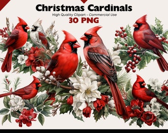 Christmas Red Cardinal Clipart Bundle, Winter Bird Watercolor, Two Birds PNG, Birds on Snowy Branches Graphics, Cardinal Digital Download