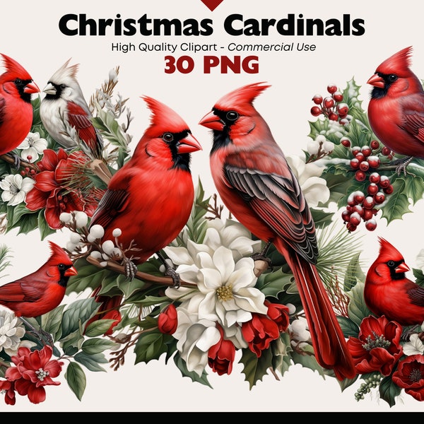 Christmas Red Cardinal Clipart Bundle, Winter Bird Watercolor, Two Birds PNG, Birds on Snowy Branches Graphics, Cardinal Digital Download