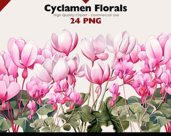 Paquete de imágenes prediseñadas de ciclamen, ilustraciones de flores rosas en acuarela, gráficos PNG de invitación con flores de invierno, descarga digital PNG de ciclamen
