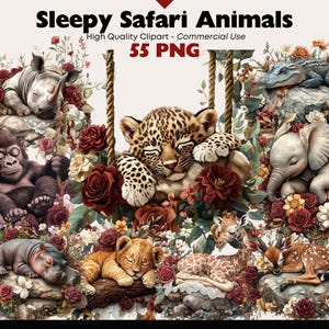 Floral Safari Tiere Clipart Bundle Afrikanische Wildtiere Png Digital Download Kinderzimmer Wald Grafiken Papierhandwerk Scrapbooking