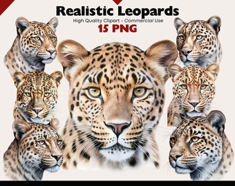 Leopard Clipart Bundle, PNG Jungle Cat Illustrations, Wildlife Digital Safari Animal PNG, Leopard PNG Exotic Animal Clip Art Graphics