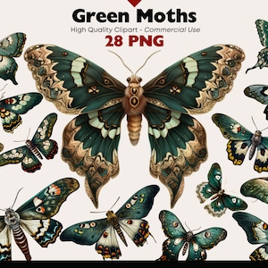 Magische motten clipart bundel, groene nachtvlinder aquarel set, vintage vlinder PNG, grillige digitale stickers, nachtvlinder ephemera, insect afdrukbaar