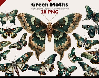 Magical Moths Clipart Bundle, Green Moth Watercolor Set, Vintage Butterfly PNG, Whimsical Digital Stickers,Moth Ephemera, Insect Printable