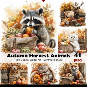 Autumn Woodland Animal Clipart Bundle Cozy Fall Harvest JPGs for Fall Crafts Scrapbooking Stickers Invitations and Sublimation Art JPEG